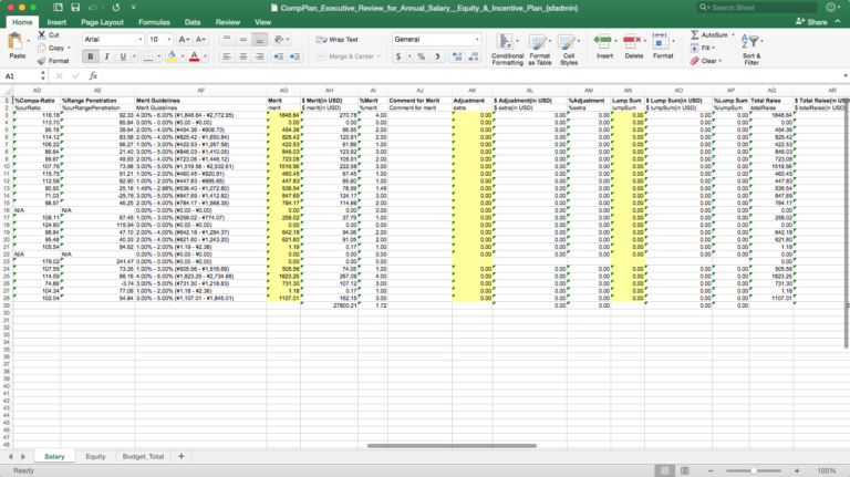 SuccessFactors Compensation - Executive Review Export / Import ...